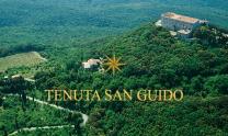 San Guido