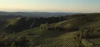 Barolo Vineyards