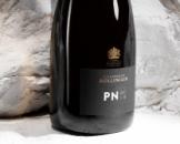 Bollinger PN