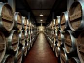 Barrels at La Rioja Alta