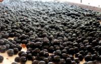 Sorting Grapes 