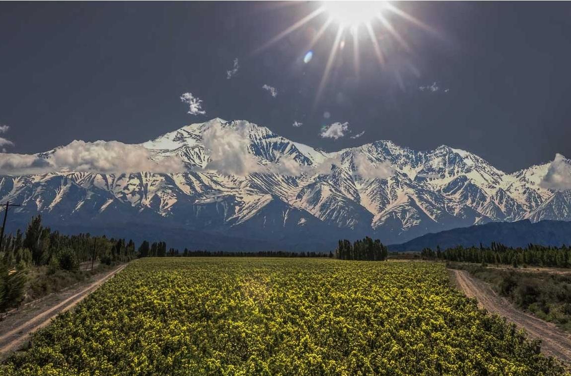 Terroir Malbecs from Argentina's Grand Cru